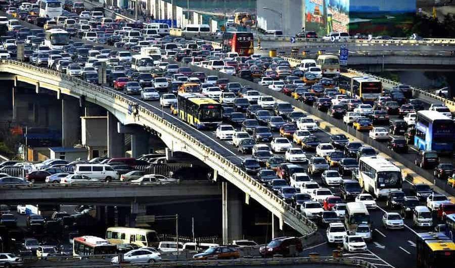Overpopulation