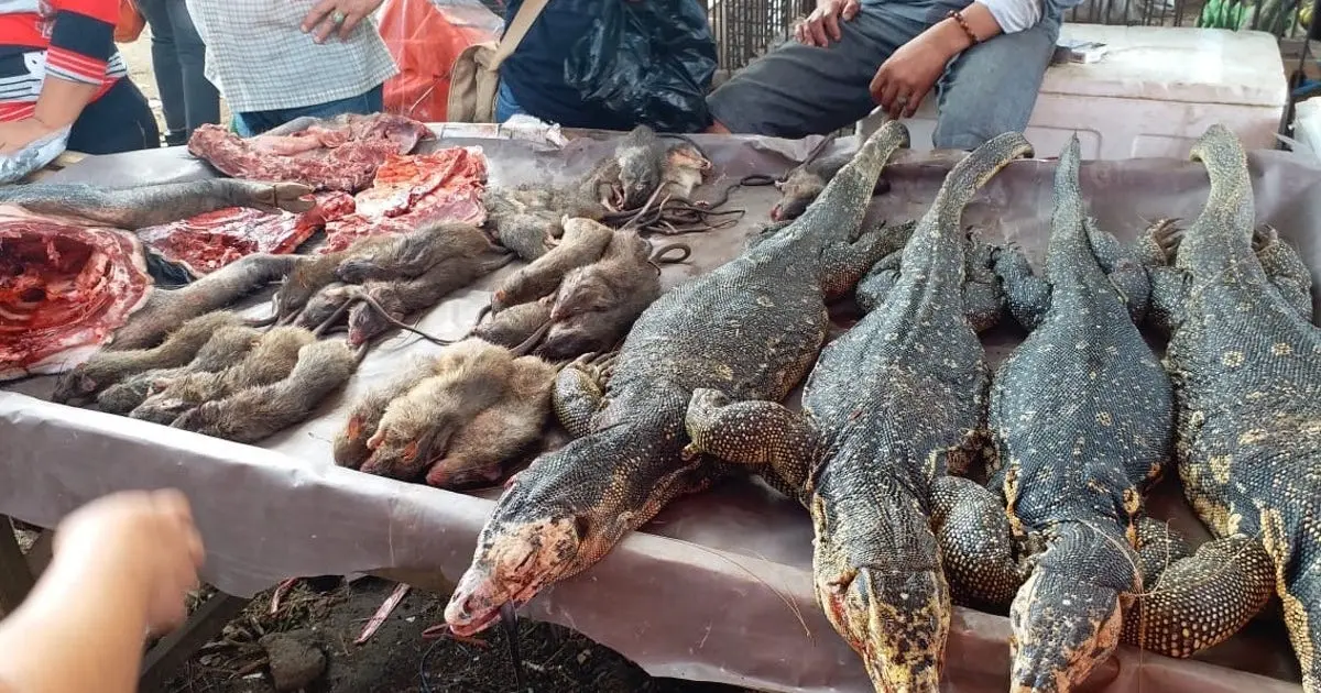 The Message by Yan Vana | The Connection Between Coronavirus And Overpopulation Meat markets