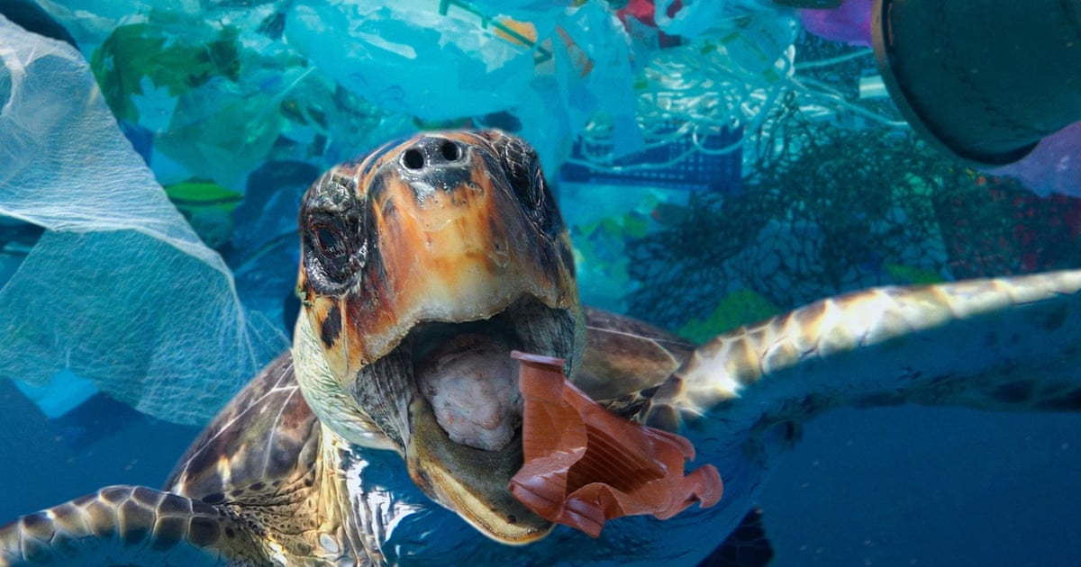 Overpopulation Is Destroying Ocean Health| The Message by Yan Vana Overpopulation Is Destroying Ocean Health| The Message by Yan Vana