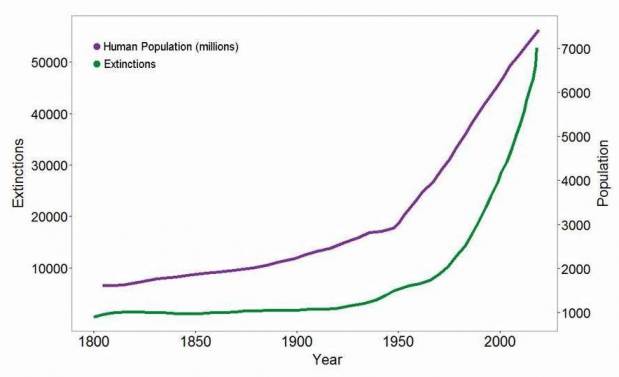 Wildlife Extinction