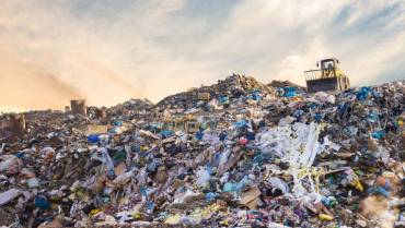 Overpopulation And Waste Generation
