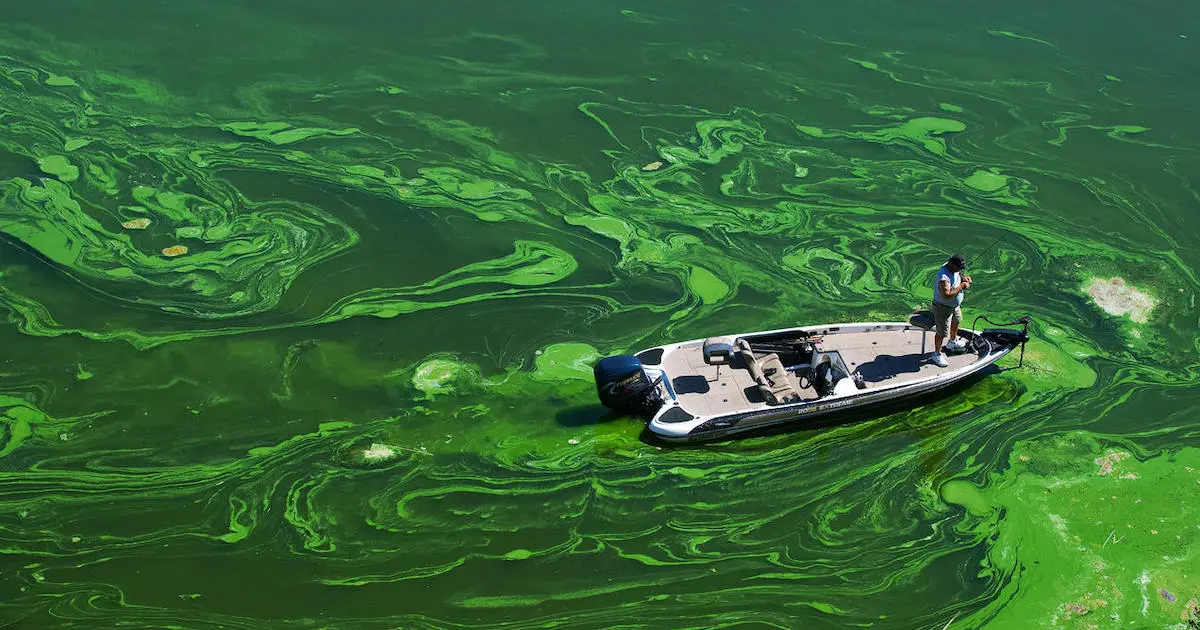 The Message by Yan Vana | Overpopulation And The Freshwater Crisis Freshwater Pollution