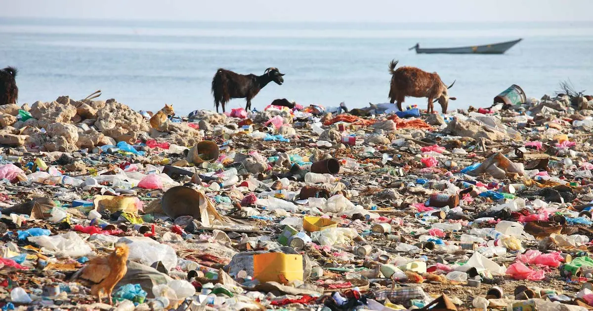 The Message by Yan Vana | Overpopulation And Waste Generation Human generated waste