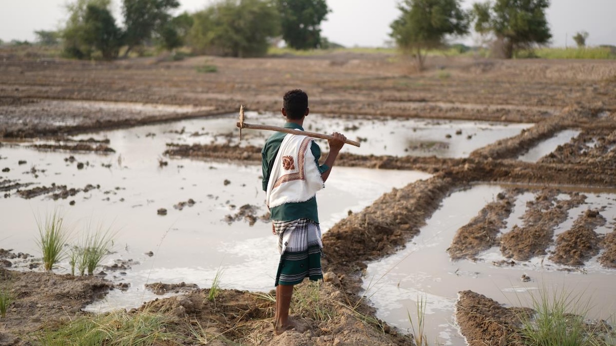 Global population growth escalates water demand