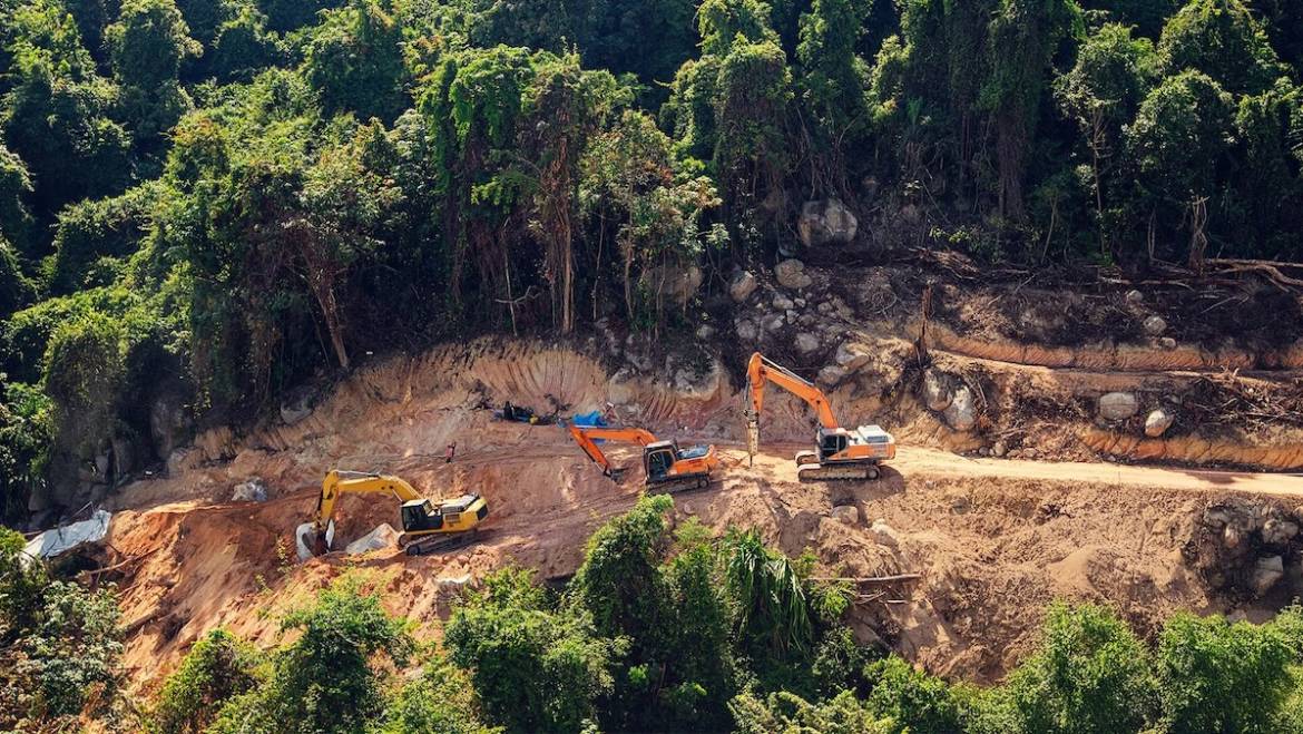 Protected Rainforest Cut Down For COP30 Climate Summit