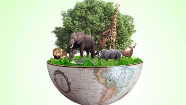 Sustainable Development An Oxymoron Claims Overpopulation Campaigner
