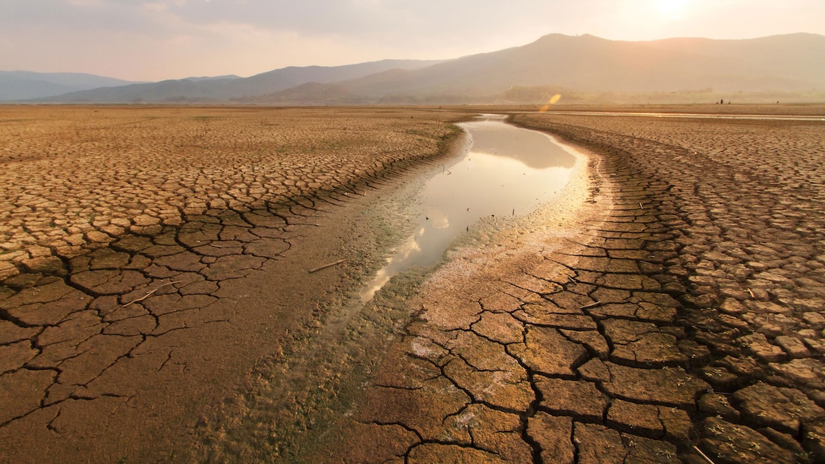 The Message by Yan Vana | Water Scarcity Overpopulation Facts: Water Scarcity