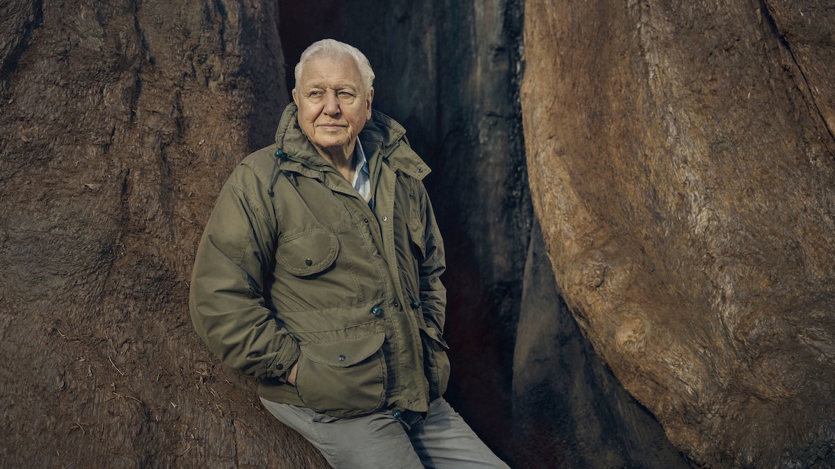 The Message by Yan Vana | David Attenborough’s 100 Years – A Population Timeline David Attenborough's 100 years - a population timeline