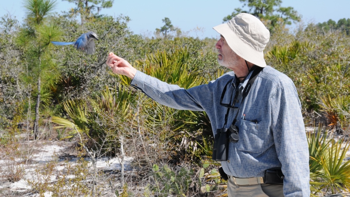 Paul Ehrlich - author of The Population Bomb - dies at 93