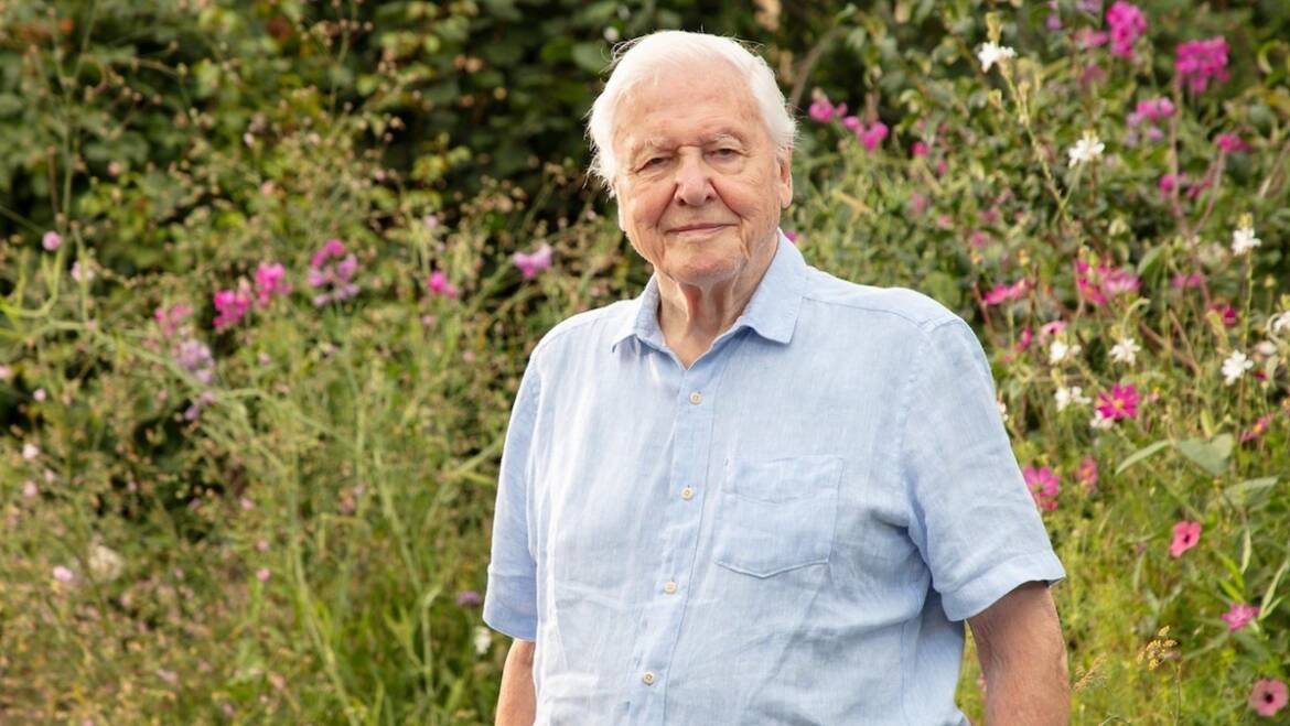 Sir David Attenborough To Be Honoured By BBC On 100th Birthday