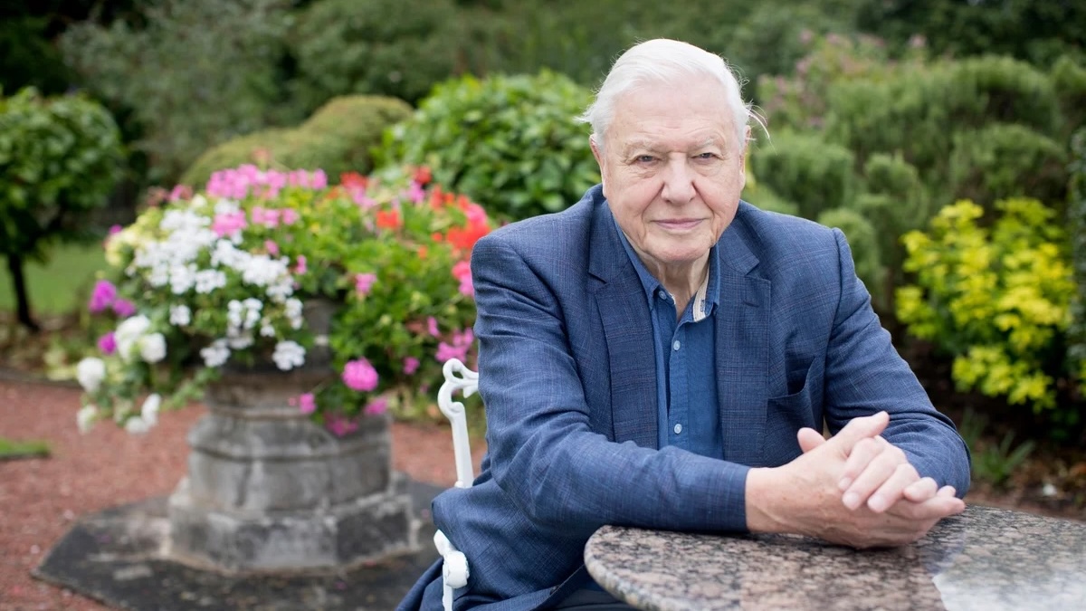 Sir David Attenborough to be honoured by the BBC on his 100th birthday
