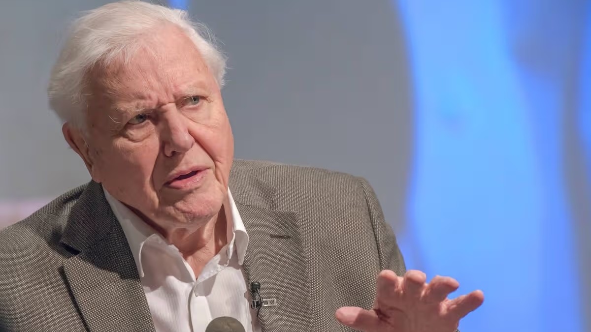 Overpopulation campaigners: Sir David Attenborough